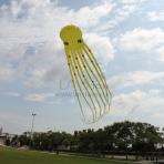 Single Line Frameless/Soft Kite