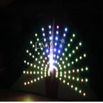 6.5m sq 768Bulbs Peacock LED Kite