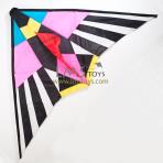 2.8m Fire Bird Delta Kite