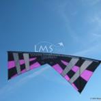 Revolution Kites B-Series