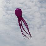 10m Alien Octopus Line Laundry Kite
