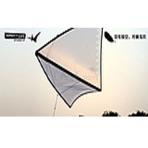 FREILEIN White Raptor Zero Wind Kite