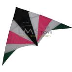 2.6m Sky Guardian Delta Kite