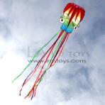 6m Gradient Octopus Soft Kite