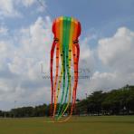 30m Rainbow Octopus Soft Kite [Walkinsky]