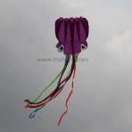 5.5m Purple Octopus With Rainbow Tail Soft Kites