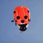 2.3m Lady Bird Soft Kite