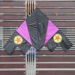 Jet Delta Kite