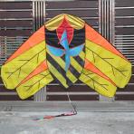 2m Cicada Delta Kite