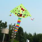 Hello Kite Play Guitar Delta Kite