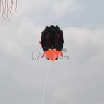 2.3m Ladybird Soft Kite