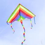 1.2m Rainbow Delta Kite